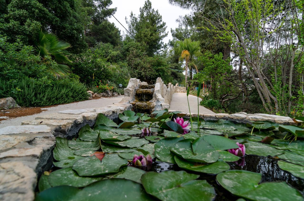 Amirey Hagalil Boutique Hotel อามิริม ภายนอก รูปภาพ