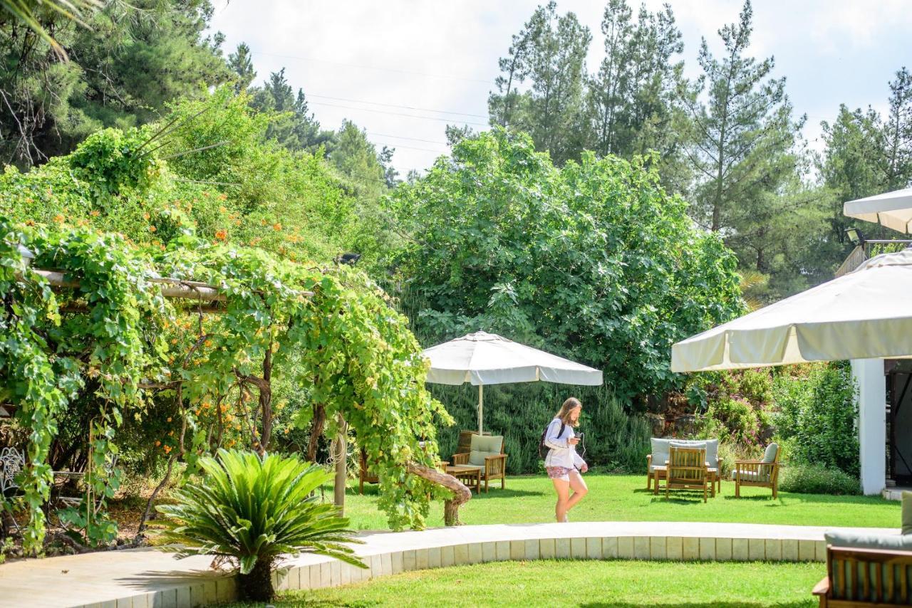 Amirey Hagalil Boutique Hotel อามิริม ภายนอก รูปภาพ